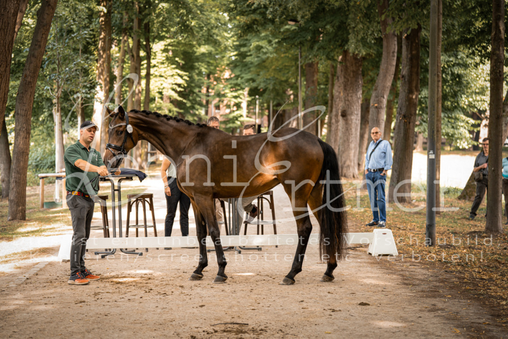 FrPfM00161 | Leoni Ertmer Photography - Realisiert mit Pictrs.com