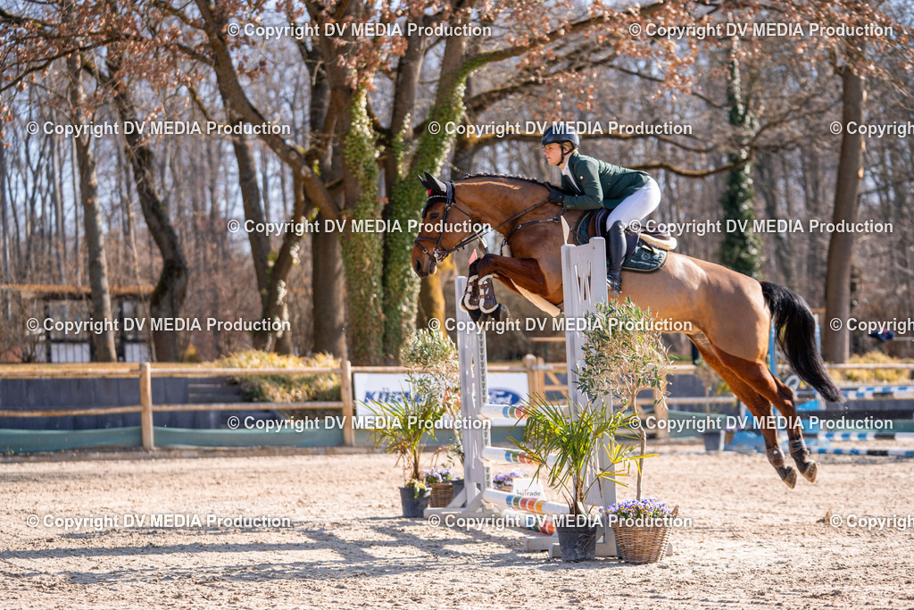 Kranichstein Tag 1-260 | dv-media-shop - Realisiert mit Pictrs.com