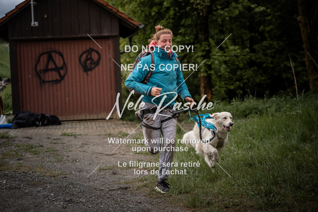 nelerasche_SoZieleinlauf_237 | nelerasche