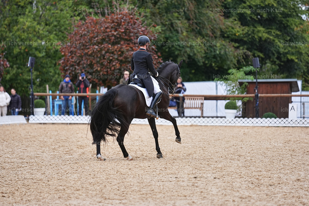 12-229-DRESSUR  S___  -Marixx-5241 | working equitationturnier fotograf videograf stoibphotography marixx film working equitation deutschland reitsport turnierfotografie eventfotografie equestrian events