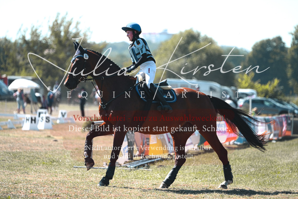 DSC_8053 | Pferde- und Turnierfotografie in Westsachsen. Pferdeportraits, Auftragszeichnungen und intuitive Kunst.