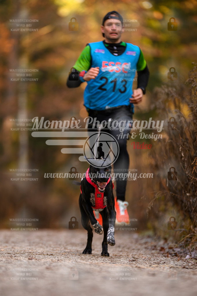 MompixPhotography_DM_AKDM_SO_2025_-33 | PayLife