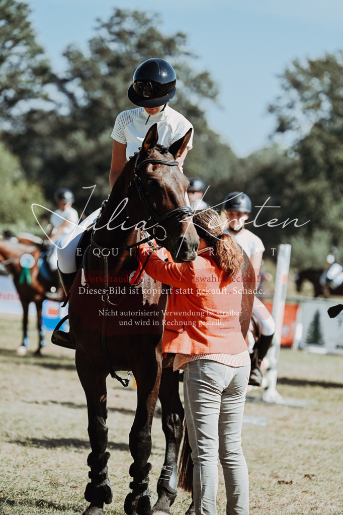 DSC_0114 | Pferde- und Turnierfotografie in Westsachsen. Pferdeportraits, Auftragszeichnungen und intuitive Kunst.
