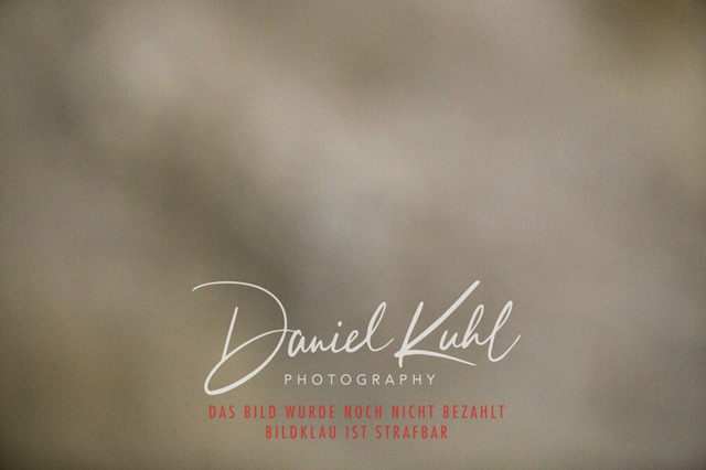 IMG_3383 | Turniersportfotografie; Pferdefotografie; Dressurfotografie