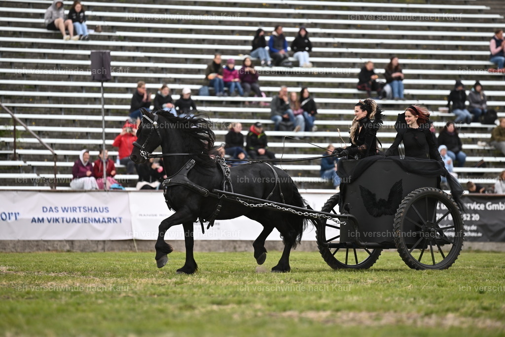 PI26_Show_Sara_Landvogt_226_1212.JPG | working equitationturnier fotograf videograf stoibphotography marixx film working equitation deutschland reitsport turnierfotografie eventfotografie equestrian events