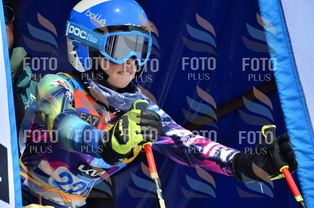 _ELE1614 | holidayphoto