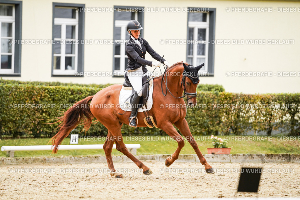 DSC08351 | Pferdegrafie