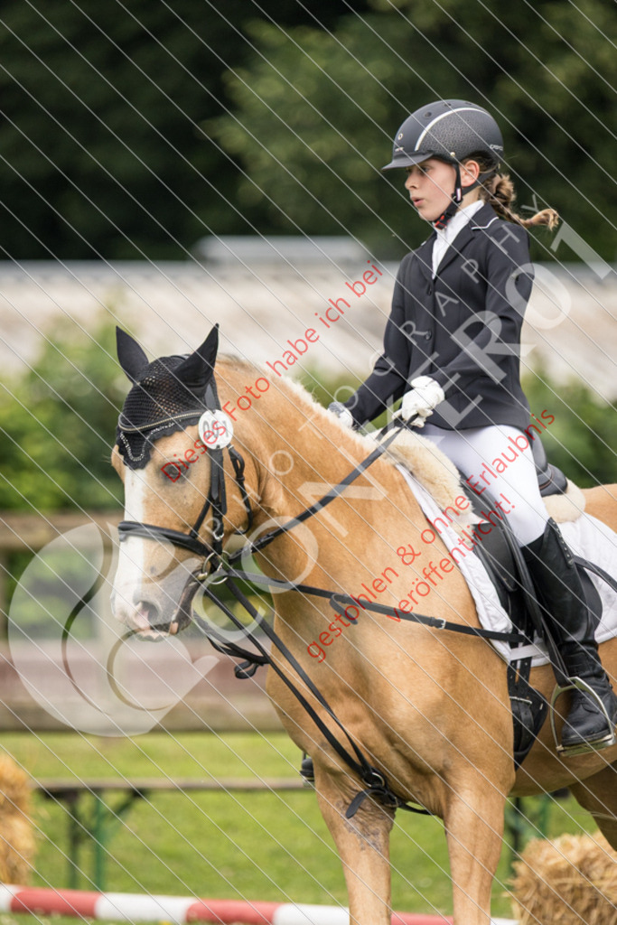 IMG_1669 | Sport-, Event- und Tierfotos in Profiqualität. Einfach auswählen, bestellen und herunterladen. Dein Moment – perfekt festgehalten.