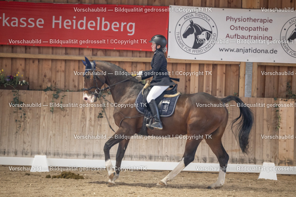 _D5A5537 | Emotionale Pferde- & People-Fotografie rund um Heidelberg, Leimen & Umgebung. Natürliche Fotos von Pferd, Mensch & Familie. Jetzt Termin sichern!