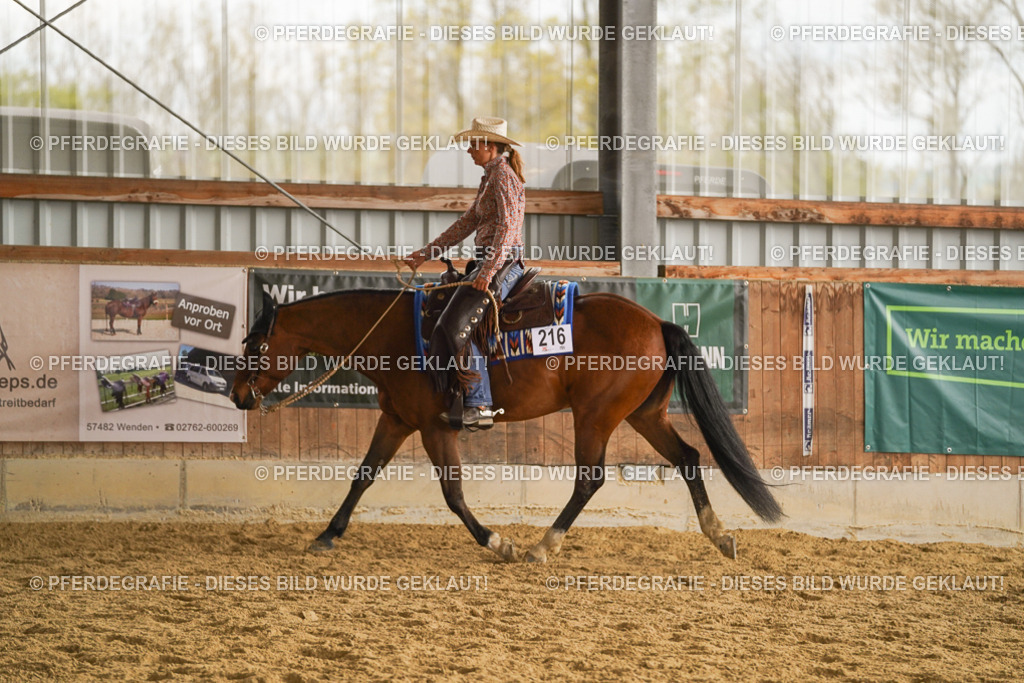 DSC08178 | Pferdegrafie