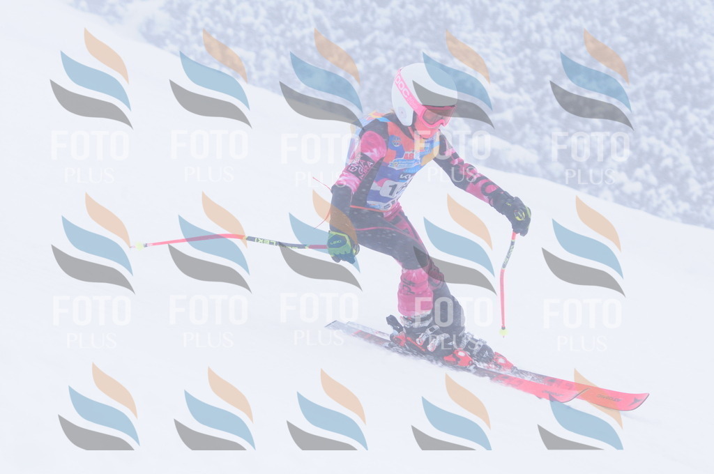 C1935 | holidayphoto