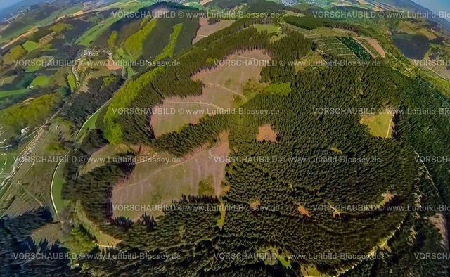 Schmallenberg240590300aBoedefeld_Kalamitaetsflaeche | Luftbild, Kalamitätsflächen bei Bödefeld, Massenvermehrung von tierischen und pflanzlichen Schädlingen in Pflanzenkulturen, Waldschäden, Erdkugel, Fisheye Aufnahme, Fischaugen Aufnahme, 360 Grad Aufnahme, tiny world, little planet, fisheye Bild, Bödefeld, Schmallenberg, Sauerland, Nordrhein-Westfalen, Deutschland