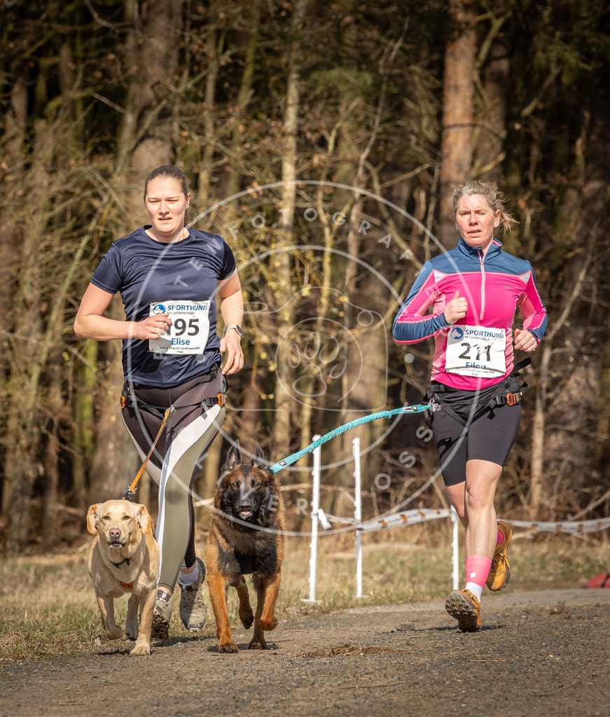 DV3A5776 | Hundefotografie, Tierfotograf, Pfotenfotografie, Fotoshooting Hund, Hunde Portrait, Hundesport, Hundeportraits, Heideshooting, Hunde, Sportfotograf, Hundefotograf, Turnierhundsport, THS,  - Realisiert mit Pictrs.com