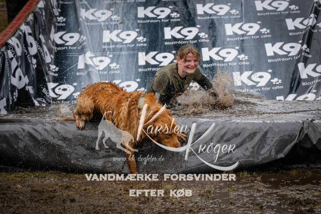 1254_ZZ90822 | kk-dogfotos