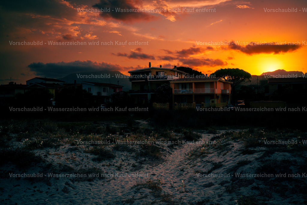 DSC04382 | marcuslinek