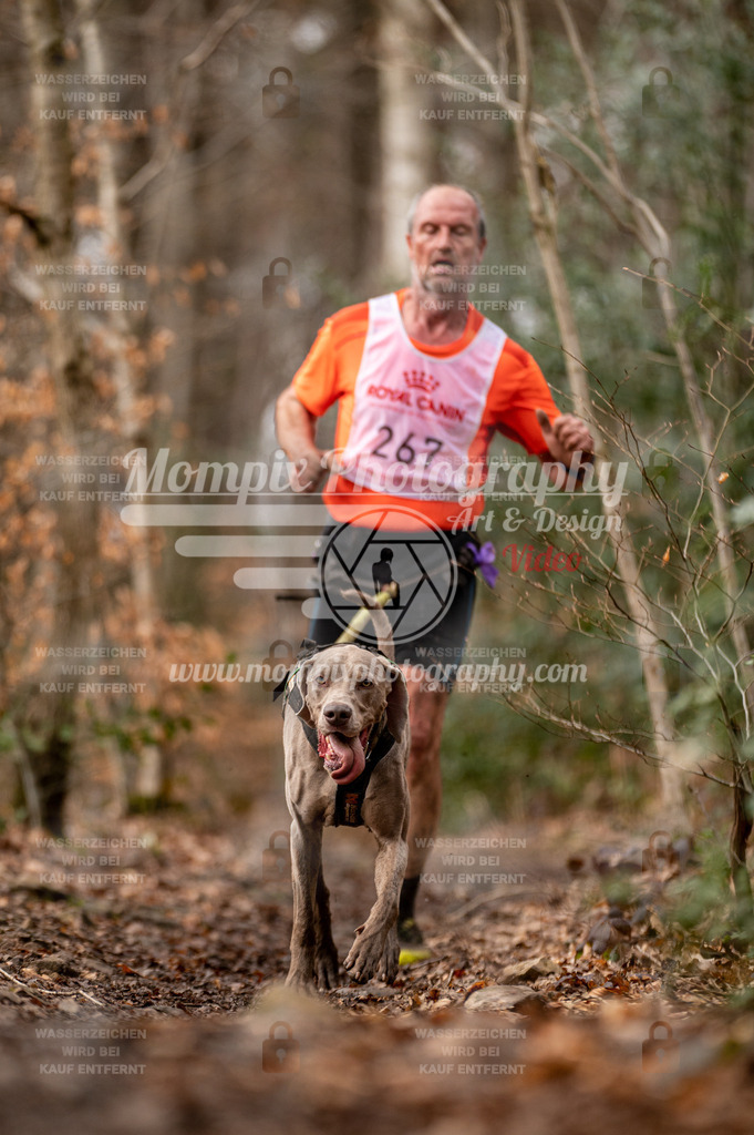 SPA_2023_DIM_CCK-29 | PayLife