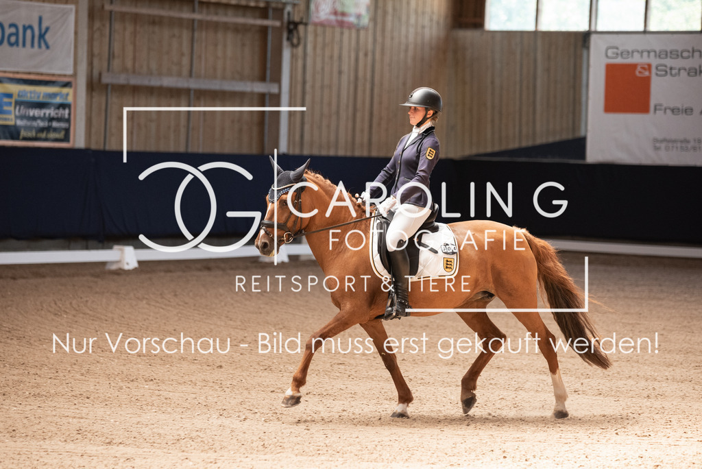 DSC_3219 | Carolin Gieschke