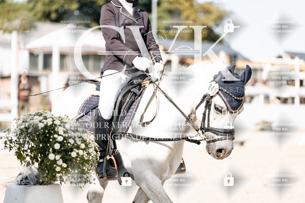 CK905778 | Turnierfotografie Pferdefotografie Trier Rheinland-Pfalz Pferdesport Reitsport Tierfotografie Sportfotografie Pferdevideo Pferdevideografie Equestrianvideography equestrianphotography  - Realisiert mit Pictrs.com