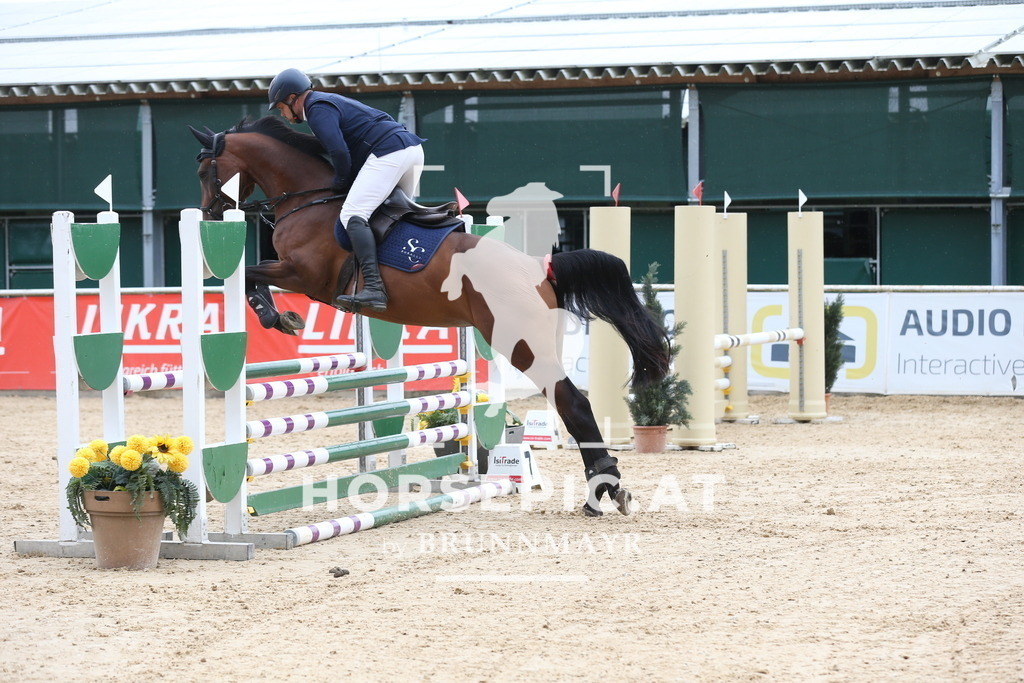 DL2Q5575 | Willkommen bei Brunnmayr - Design & Fotografie – Ihrem Spezialisten für Reitturniere und Pferdeveranstaltungen in Oberösterreich, Salzburg und Bayern! Seit über 17 Jahren sind wir leidenschaftlich dabei.