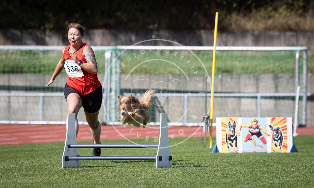Pfotenfotografie_DV3A9945 | Hundefotografie, Tierfotograf, Pfotenfotografie, Fotoshooting Hund, Hunde Portrait, Hundesport, Hundeportraits, Heideshooting, Hunde, Sportfotograf, Hundefotograf, Turnierhundsport, THS,  - Realisiert mit Pictrs.com