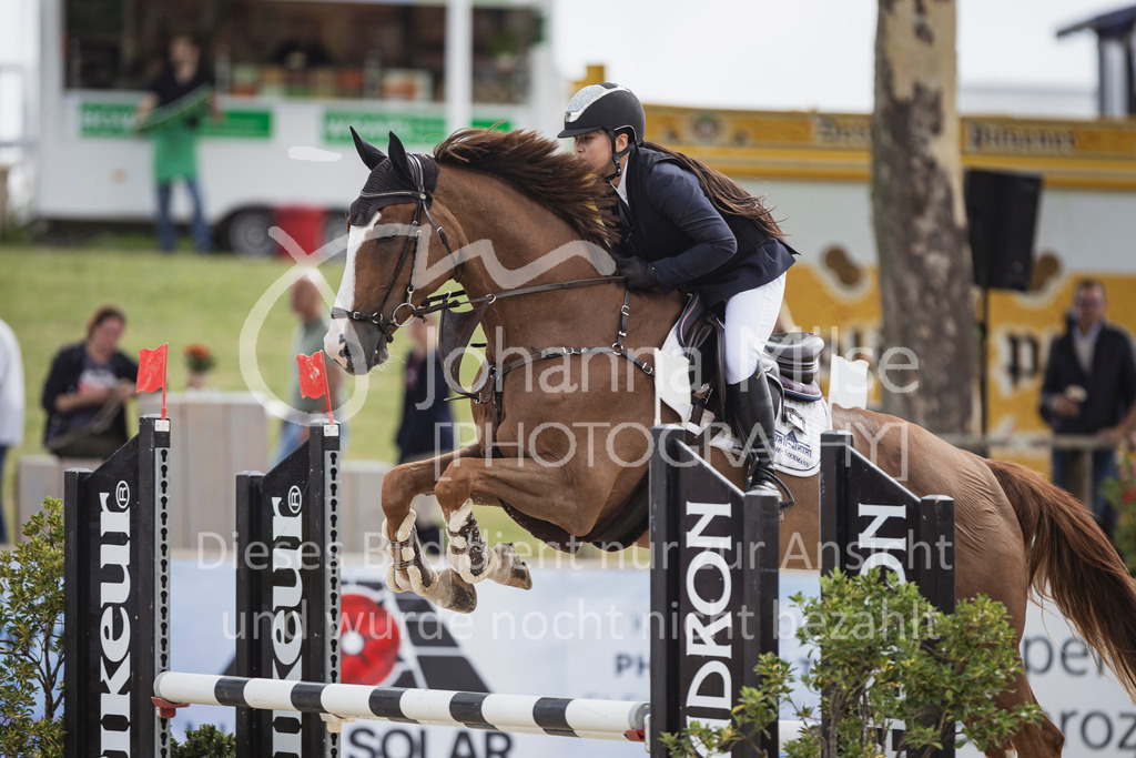 250713_BHO_Spring-WB-519 | Deine schönsten Turniermomente als professionelle Fotos! Entdecke hochwertige Pferdesport-Fotografie im Online-Shop. Jetzt Fotos finden & bestellen!