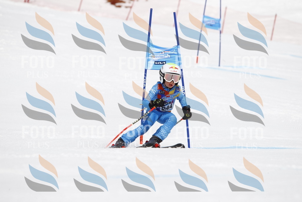 _U3G6168 | holidayphoto