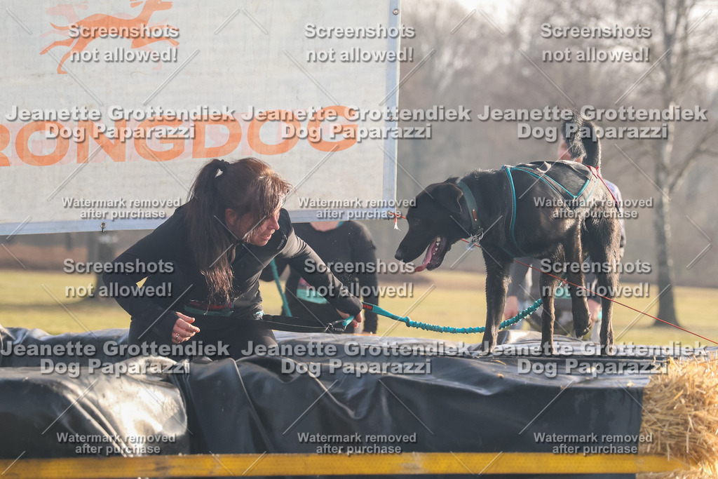 Dog Paparazzi - SD North 0326 900930-228 | Dog Paparazzi Jeanette Grottendiek Fotografie & Videografie - Realisiert mit Pictrs.com