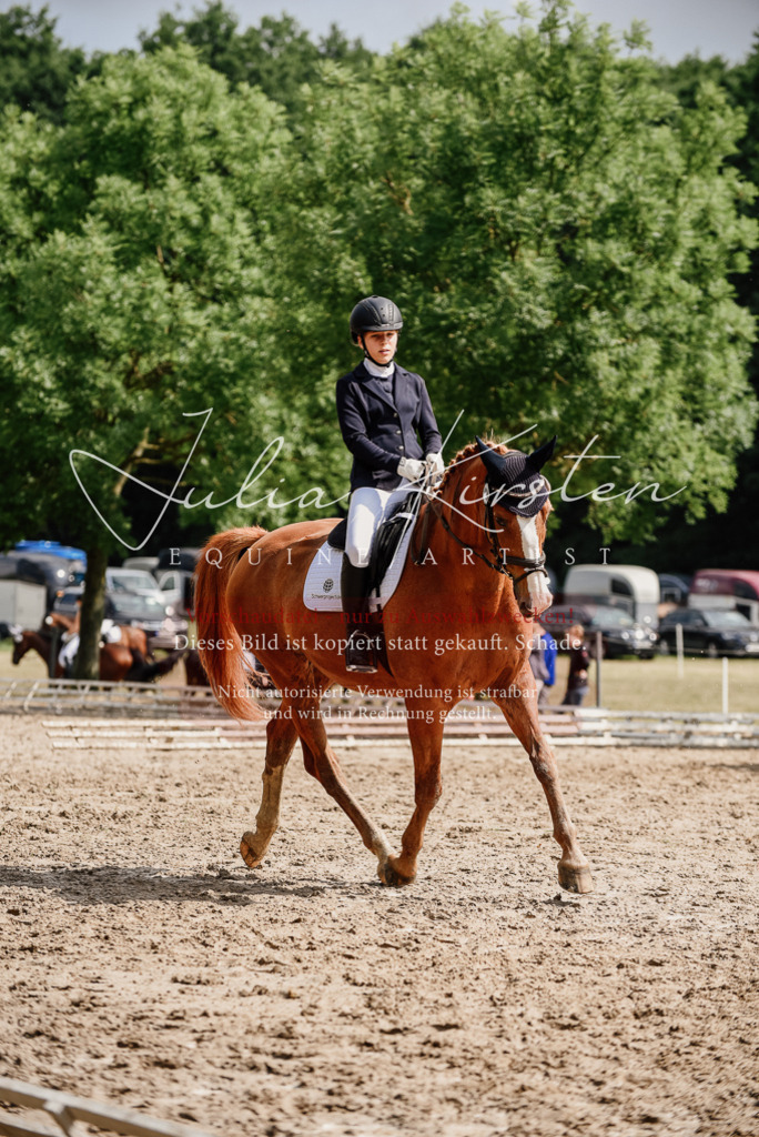 DSC_0013 | Pferde- und Turnierfotografie in Westsachsen. Pferdeportraits, Auftragszeichnungen und intuitive Kunst.