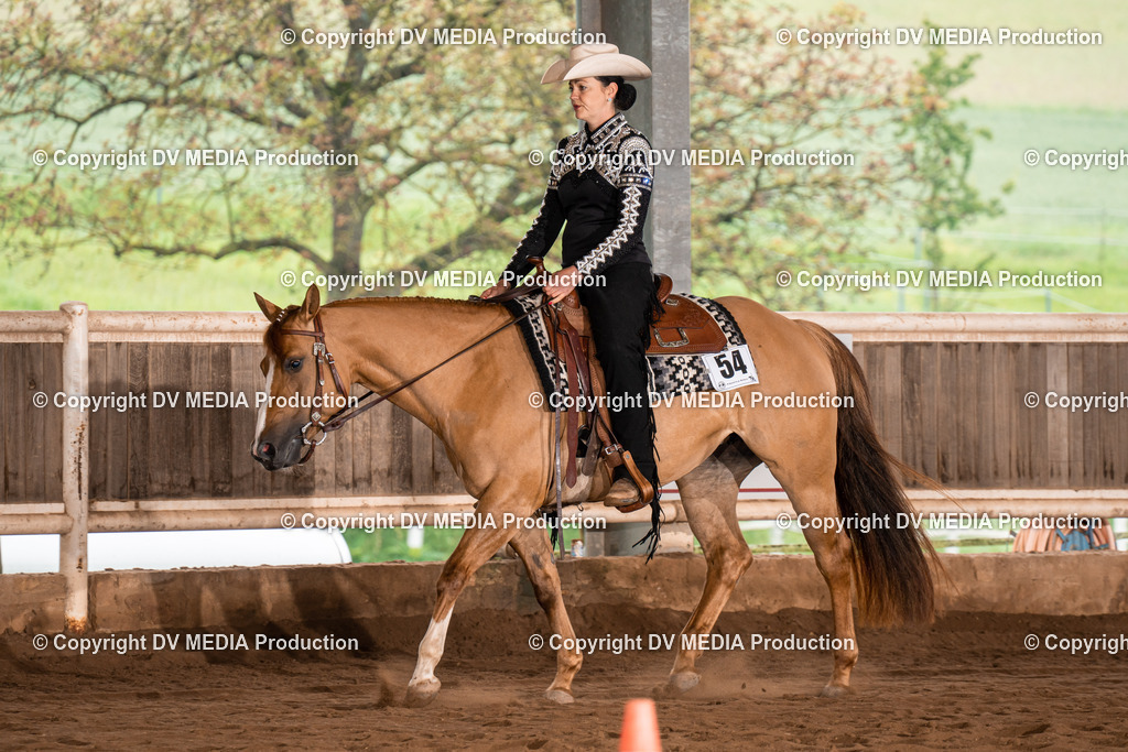 Erbach Tag 3-300 | dv-media-shop - Realisiert mit Pictrs.com