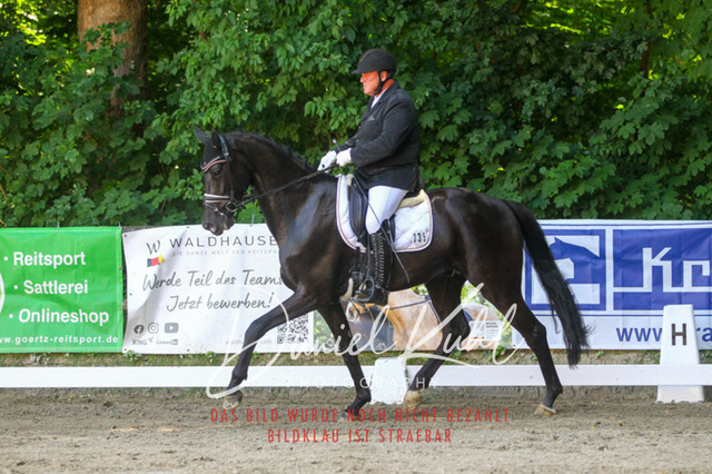 DKP42458 | Turniersportfotografie; Pferdefotografie; Dressurfotografie