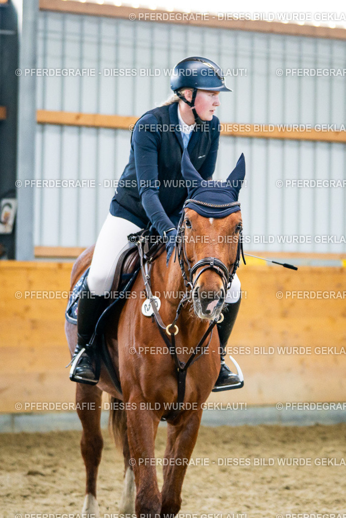 DSC00805 | Pferdegrafie