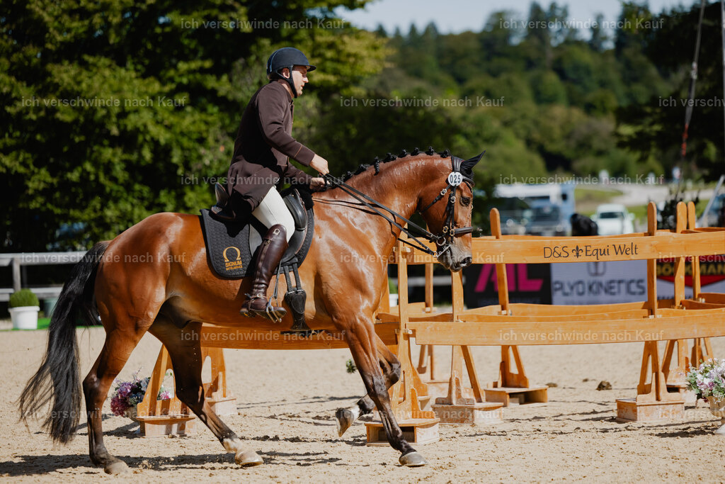 Gernot25_FHC2025-27025 | working equitationturnier fotograf videograf stoibphotography marixx film working equitation deutschland reitsport turnierfotografie eventfotografie equestrian events
