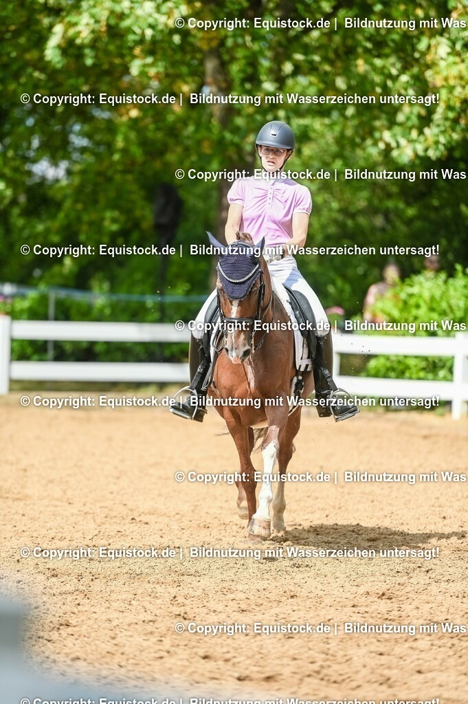 20230716_01_Dressurprüfung Kl.M_0384 | equistock