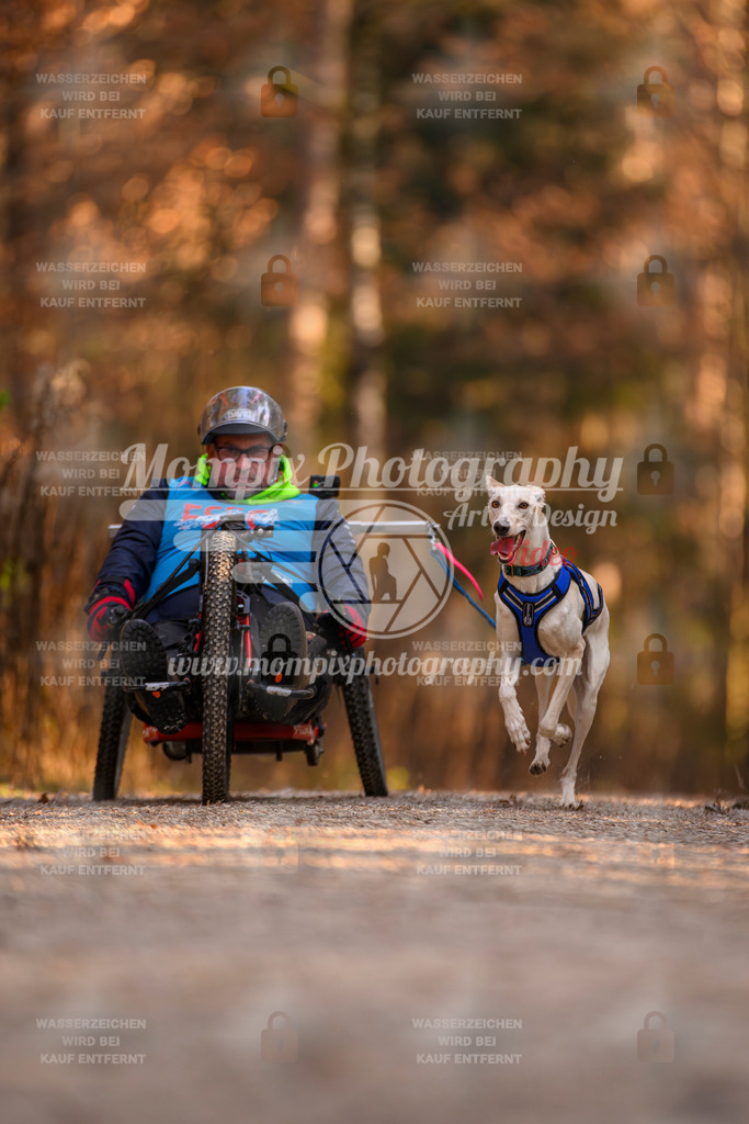 MompixPhotography_DM_AKDM_SO_2025_Scooter-193 | PayLife
