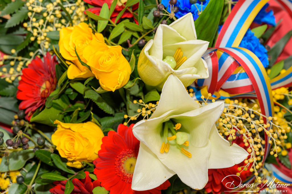 Die Mainzer Fastnacht | Die Mainzer Fastnacht