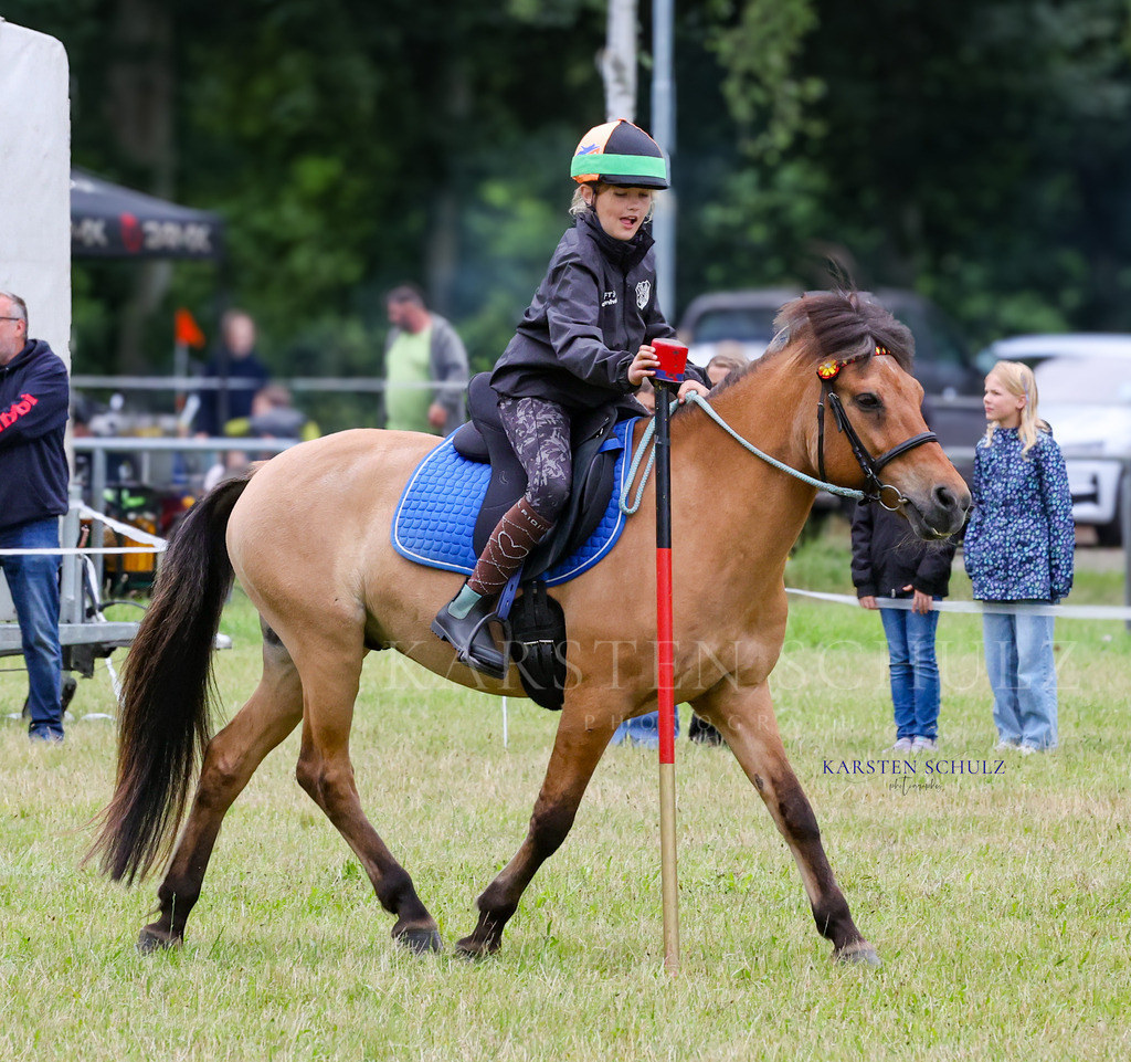 1B3A0277 | Reitsport Reiten