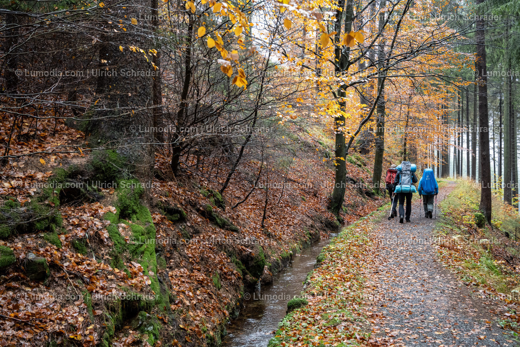 10049-11356 - Unterwegs im Westharz | max. Auflösung 8256 x 5504 - Realisiert mit Pictrs.com
