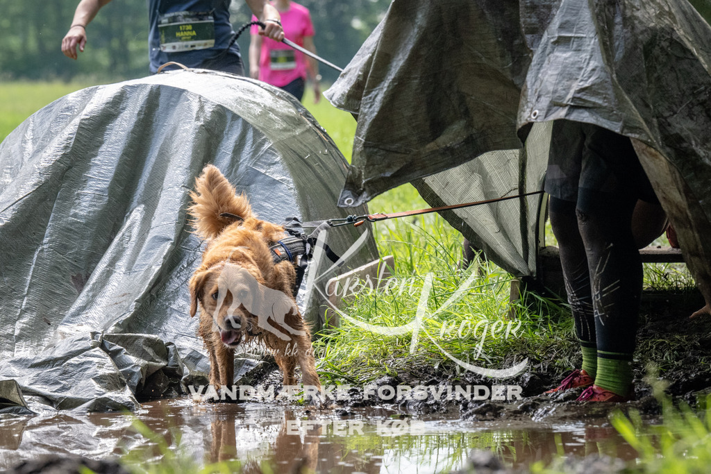 0924_ZZ90734 | kk-dogfotos