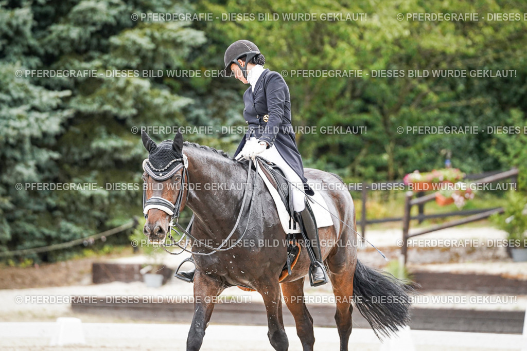 DSC06834 | Pferdegrafie