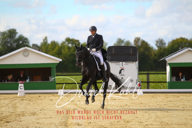 DKP44399 | Turniersportfotografie; Pferdefotografie; Dressurfotografie