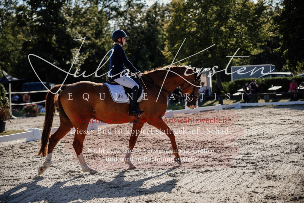 DSC_0477 | Pferde- und Turnierfotografie in Westsachsen. Pferdeportraits, Auftragszeichnungen und intuitive Kunst.