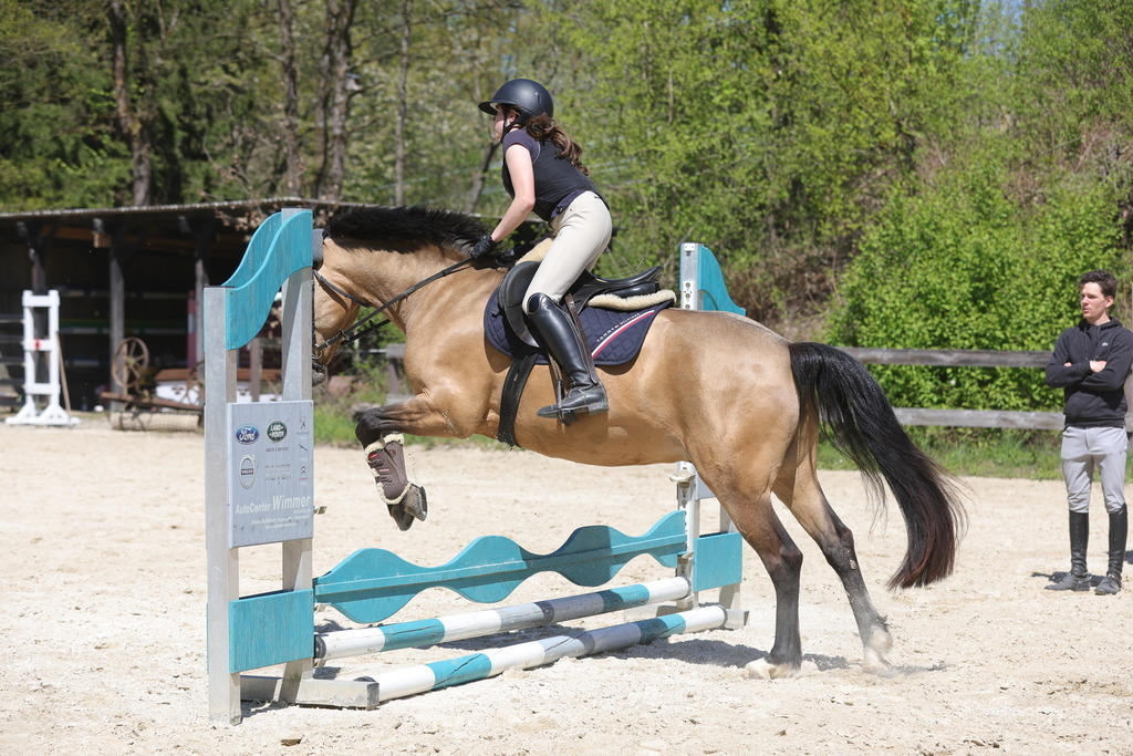 0P6A8826 | Willkommen bei Brunnmayr - Design & Fotografie – Ihrem Spezialisten für Reitturniere und Pferdeveranstaltungen in Oberösterreich, Salzburg und Bayern! Seit über 17 Jahren sind wir leidenschaftlich dabei.