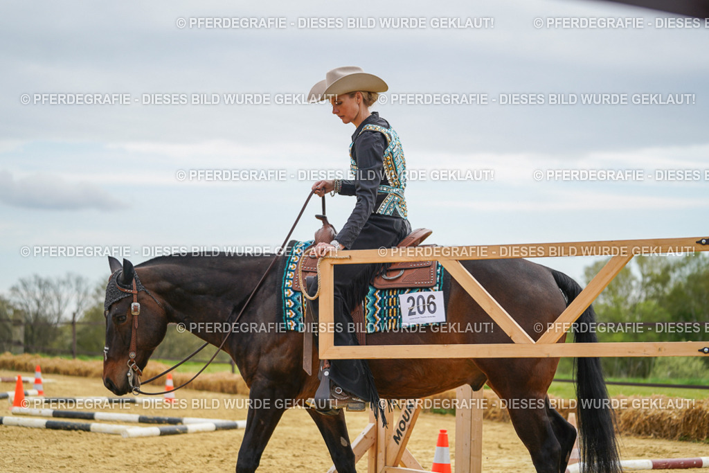 DSC03148 | Pferdegrafie