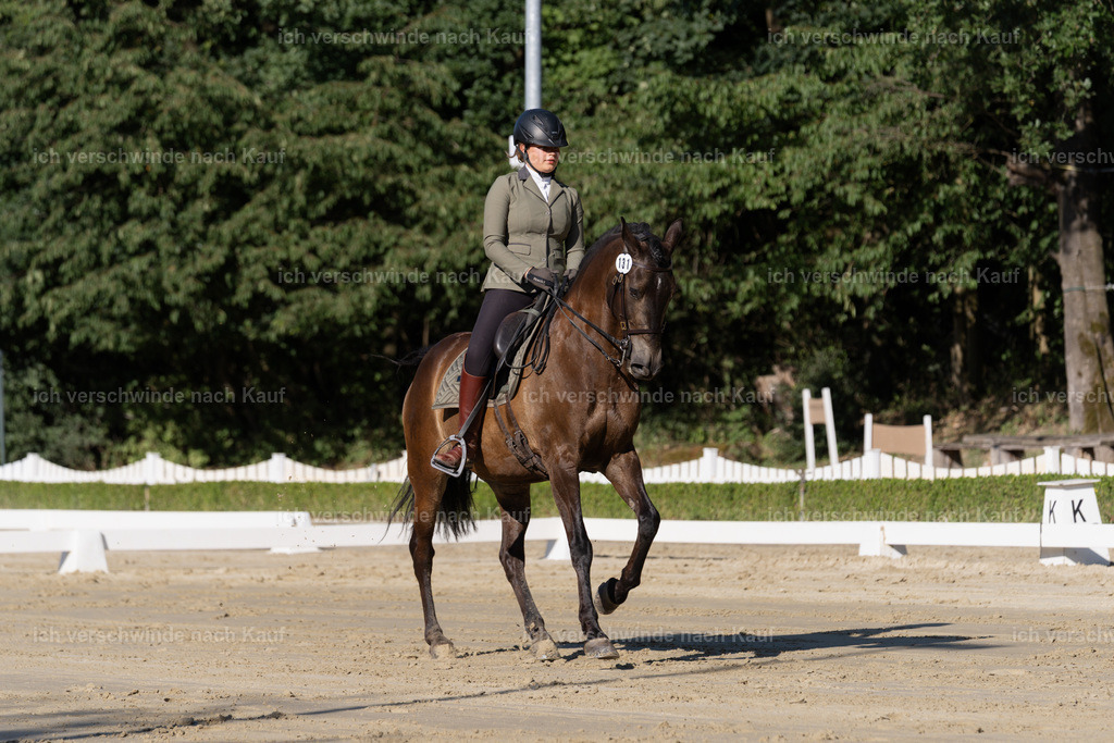 WM_DR_131_sinafilmart_IN04352 | working equitationturnier fotograf videograf stoibphotography marixx film working equitation deutschland reitsport turnierfotografie eventfotografie equestrian events