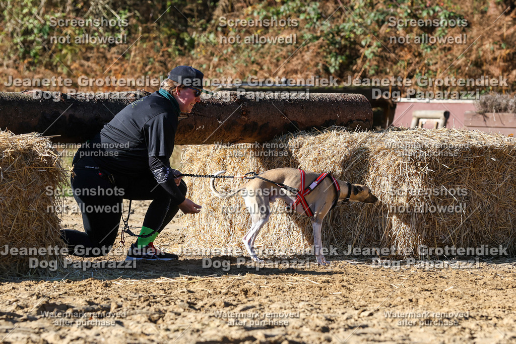 Dog Paparazzi - Strongdog 10-25-2335 | Dog Paparazzi Jeanette Grottendiek Fotografie & Videografie - Realisiert mit Pictrs.com