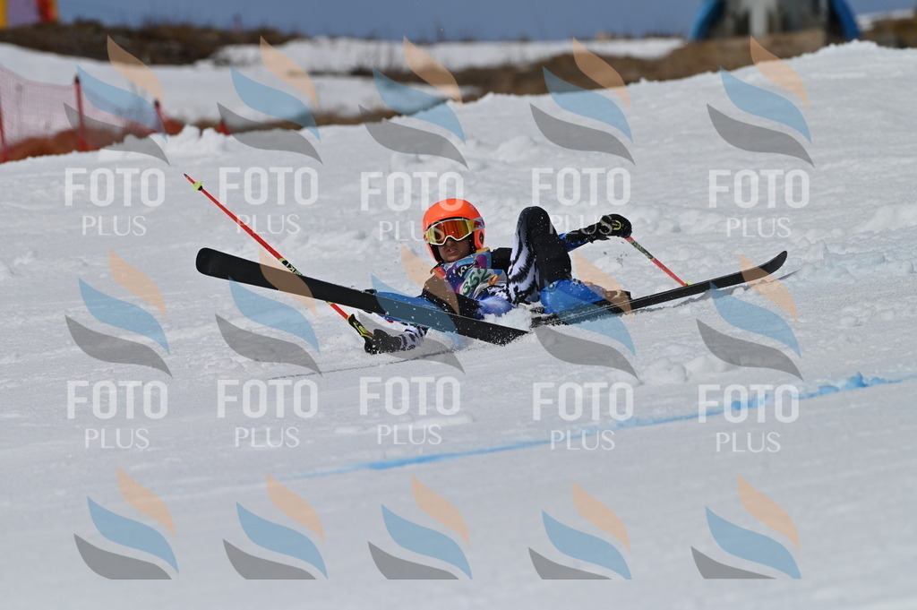 BGV_6935 | holidayphoto