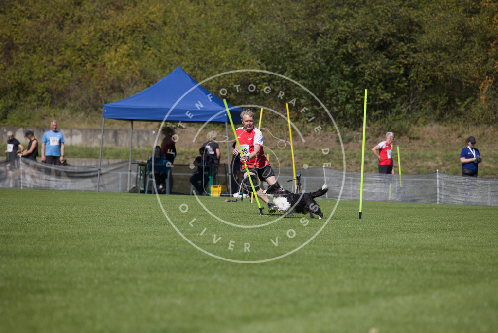 0L8A6365 | Hundefotografie, Tierfotograf, Pfotenfotografie, Fotoshooting Hund, Hunde Portrait, Hundesport, Hundeportraits, Heideshooting, Hunde, Sportfotograf, Hundefotograf, Turnierhundsport, THS,  - Realisiert mit Pictrs.com