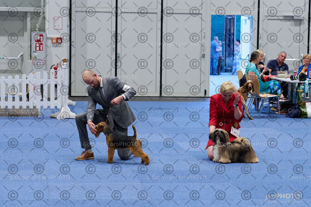 202406_ÖKV-IHA-Tulln24_DSC_3357 | proPHOTO - Realisiert mit Pictrs.com