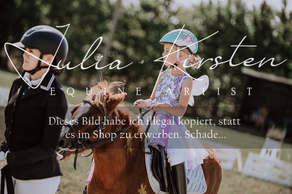 DSC_9044 | Pferde- und Turnierfotografie in Westsachsen. Pferdeportraits, Auftragszeichnungen und intuitive Kunst.