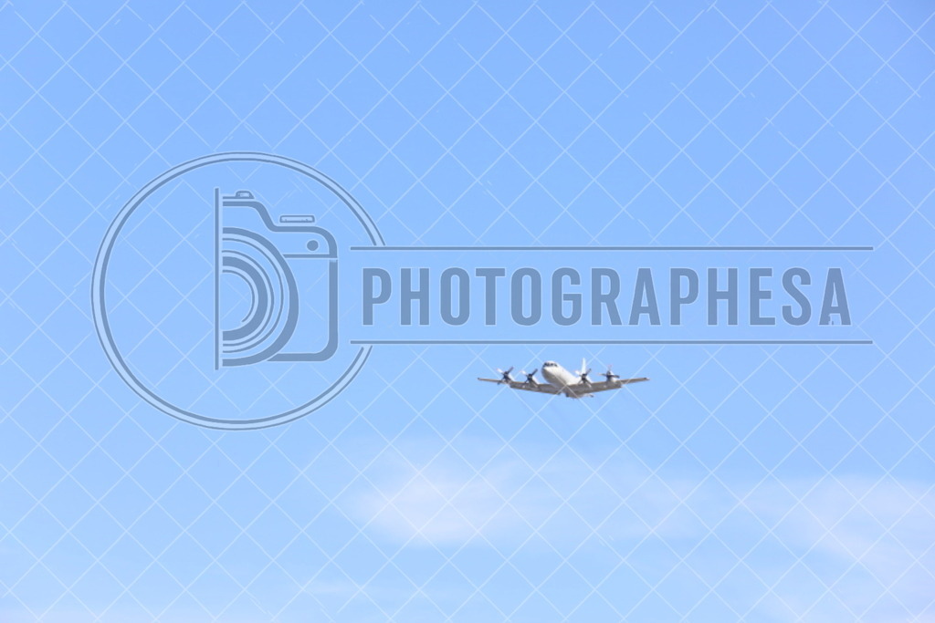 IMG_8781 | photographesa-joergens - Realisiert mit Pictrs.com